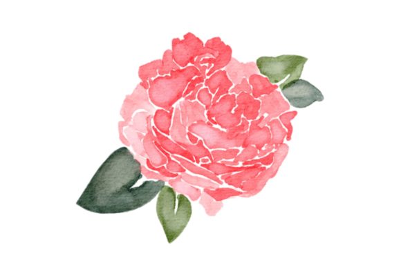 Flower Peonies Watercolor PNG: A Versatile Resource for DIY and Design Projects