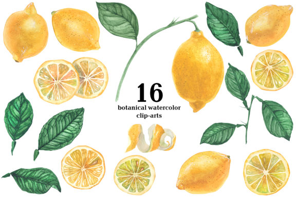 Lemon Garden. Botanical Watercolor Design Set for Modern Creatives